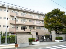ywZF980